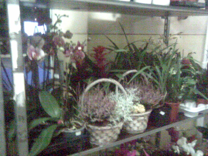 Imag013