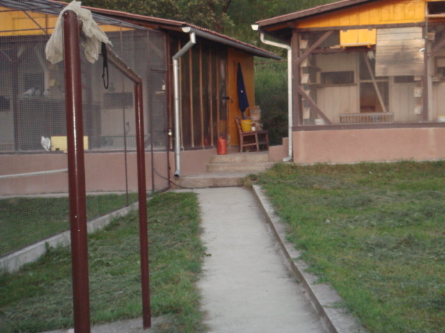 DSC00847