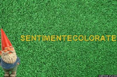 SentimenteColorate