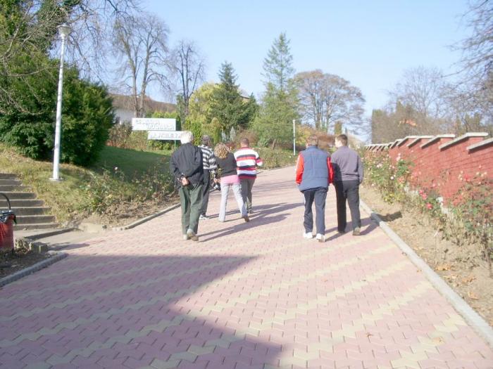 Re-exposure of IMGP7005 - Gradina Botanica din Jibou