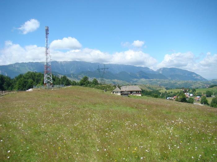 DSC02094 - Concediu 2008