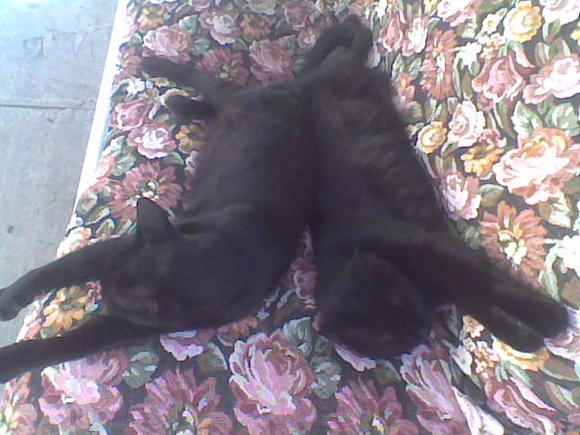 Imag056