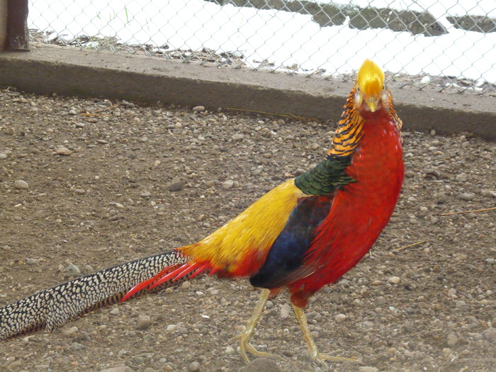 P1000754