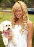 HCIOTZQCVQNPEJQZWVJ - ashley tisdale