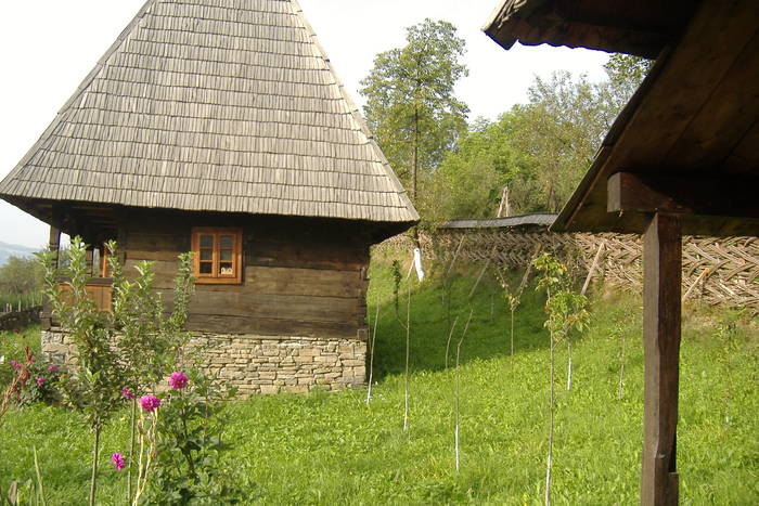 DSCF1264 - prin Maramures