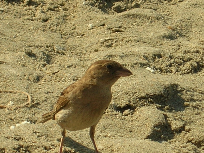 DSCN5549; 1mb jpeg 7/24/2008 9:14AM
