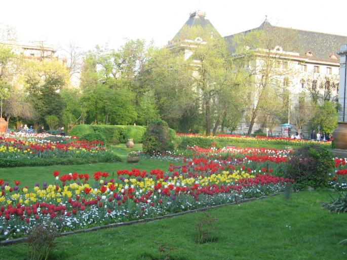 IMG_4200 - bucuresti