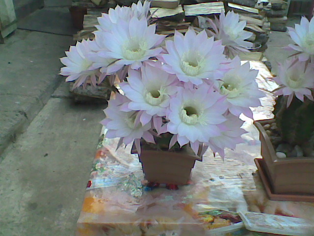 Imag041