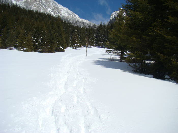 DSC02841