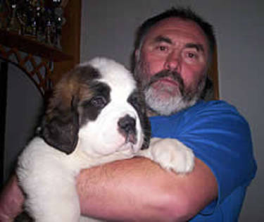 Saint Bernard - Alti catei si animale