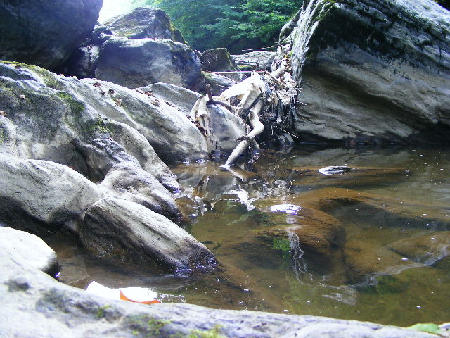 DSCF5079