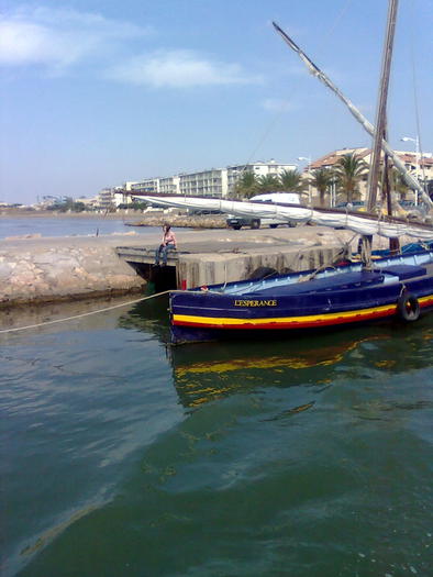 domnisoara pescar - ApiMondia