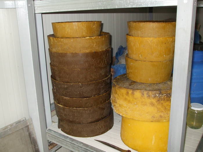 DSCF1462 - stupina  incepand cu 2008