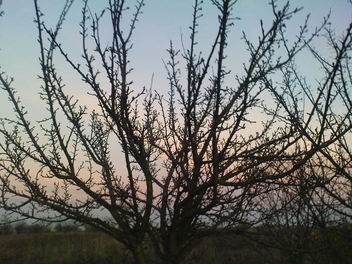 DSC00177