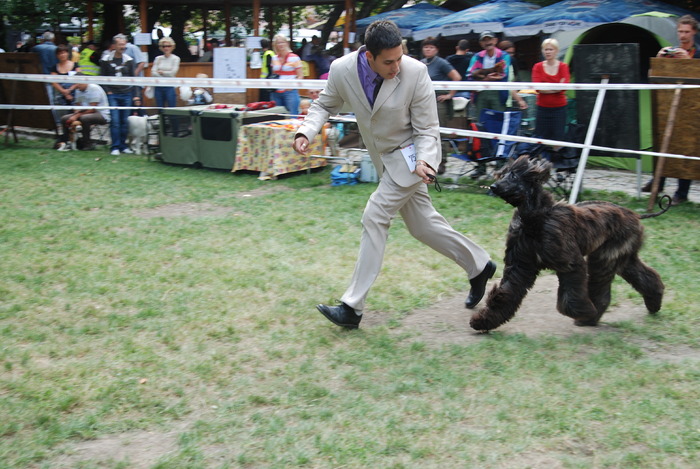 DSC_0199 - Concurs international de frumustete canina 2009 TgMures