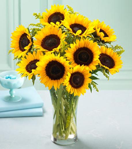 Sunflower - Flori - Flori