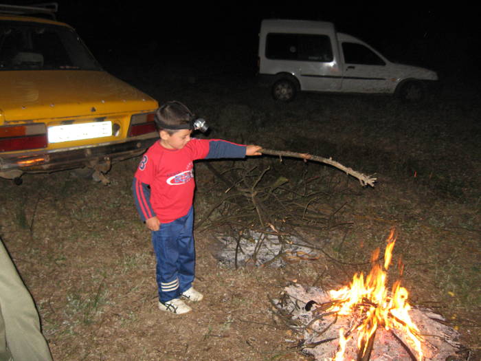 IMG_3448 - salcim I si II 2009