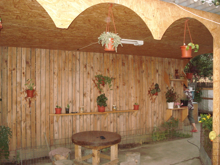 DSC09824