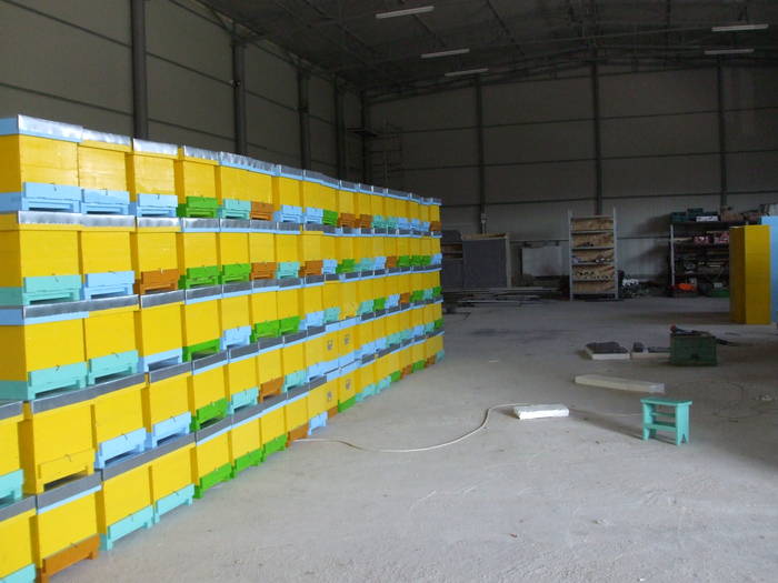 DSCF1251 - Atelierul