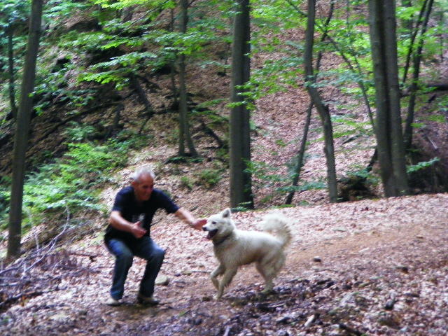 DSCF4889 - Firiza_Maramures