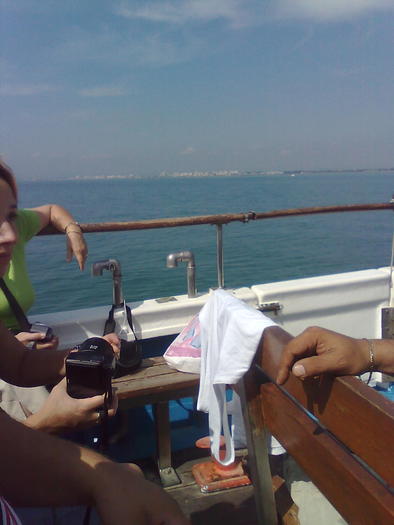 Imagine1296 - ApiMondia