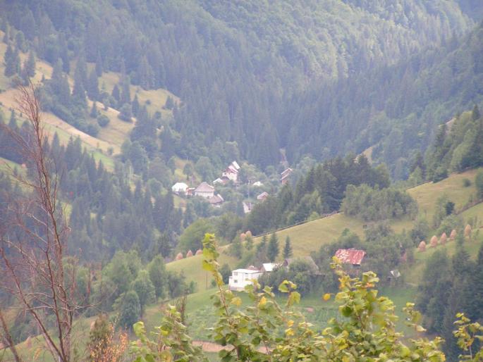 PICT854 - 2007 concediu poze 1