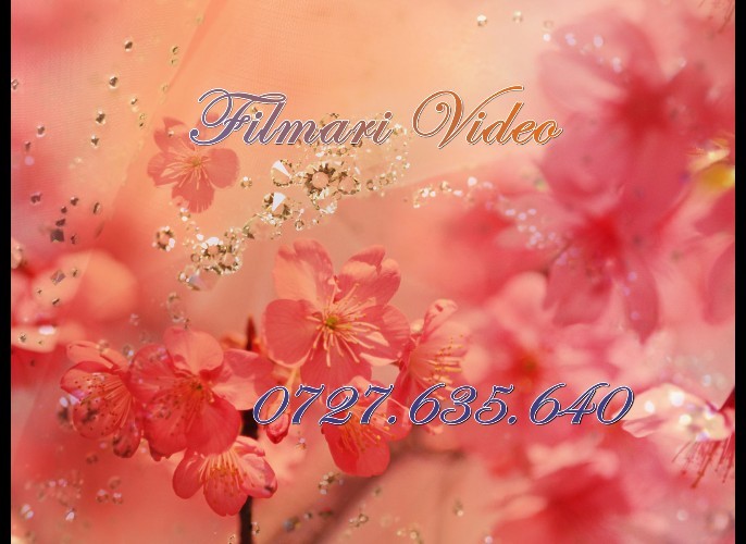 Flower-Art-Red-Prism-Daffodil-1-1600x1200; Filmari Video 1
