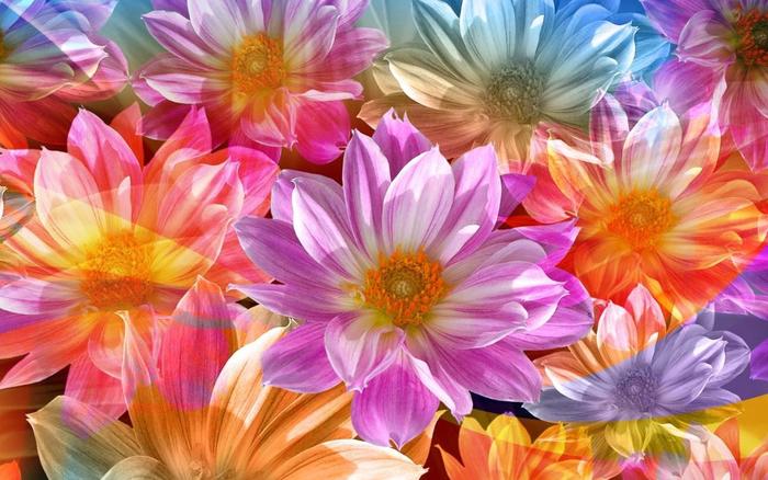 Colors-of-joy