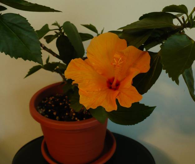 P1140555