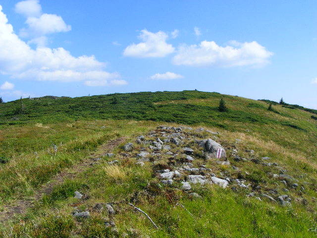 DSCF4424 - 2 august 2009 Traseu Suior Secatura Creasta Cocosului Gutaiul Doamnei  Vf Gutai