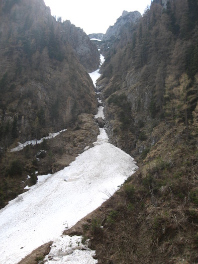  - BUCEGI 1 MAI 2009