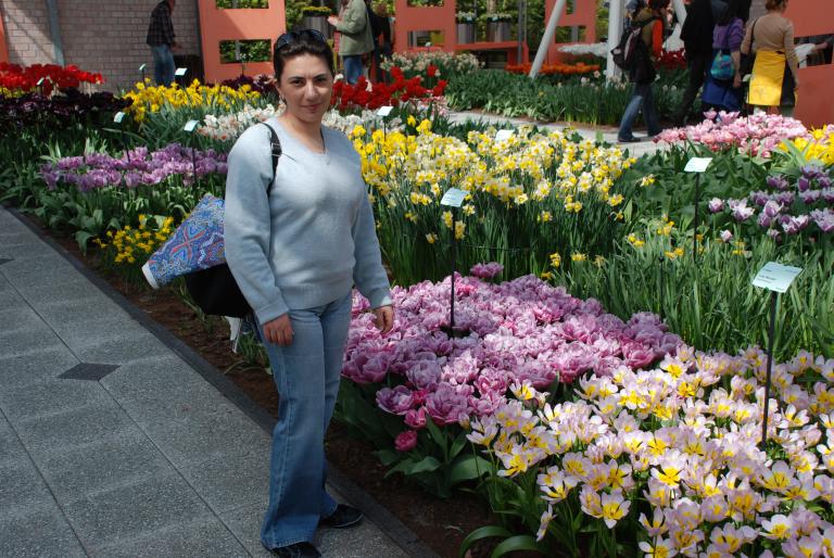 Afbeelding 753 - Keukenhof 2008