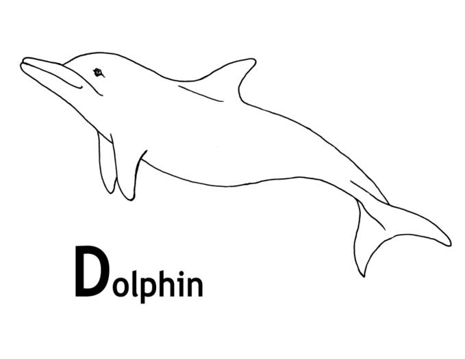 Dolphin0. - desene  liniare