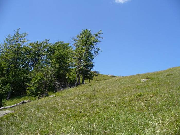 P1000534 - varful Ignis Maramures