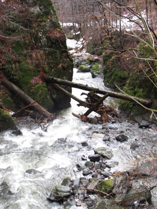 IMG_1145 - CASCADA LOTRISORULUI  02-01-2010