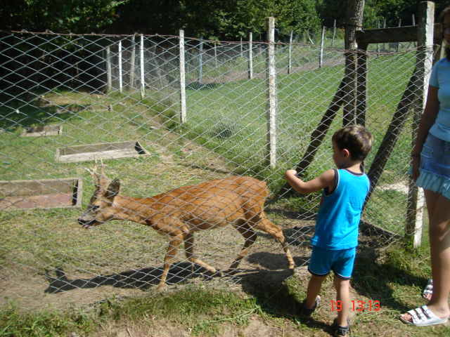 Sighisoara Aug.2006 212