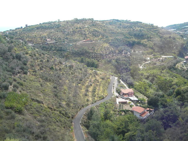 DSCN2509