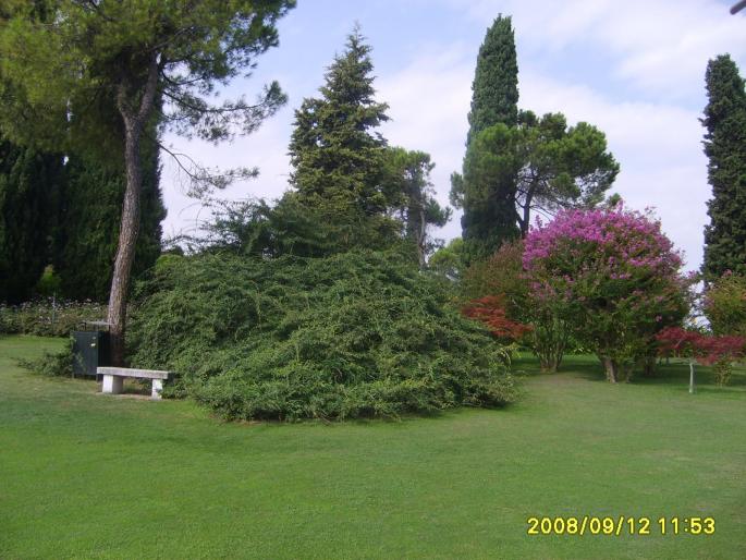 italia 805 - Sigurta park