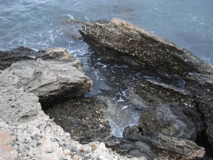 Picture 588; Cape Greco
