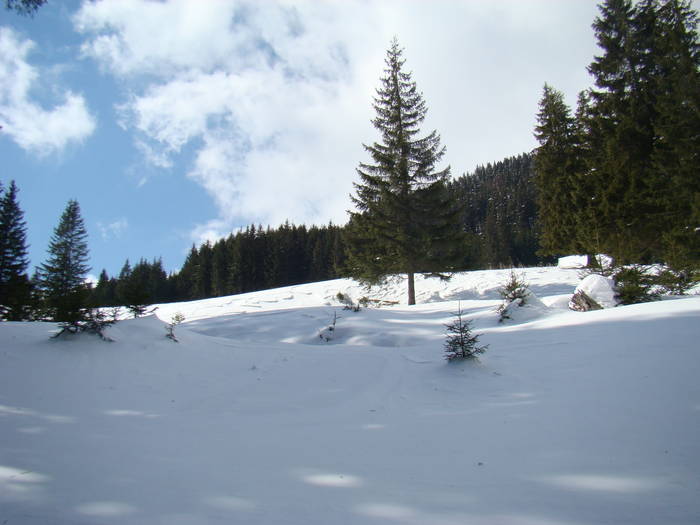 DSC02852