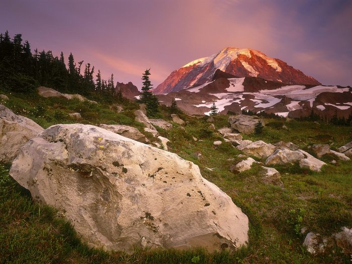 Spray Park Meadows at Sunset, Mount Rainier, Washington