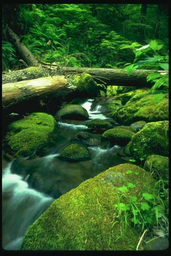 26048 - Peisaje inedite