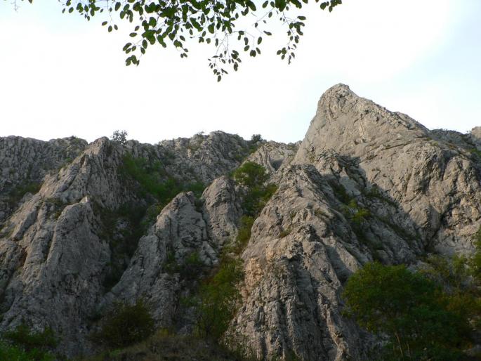 P100087