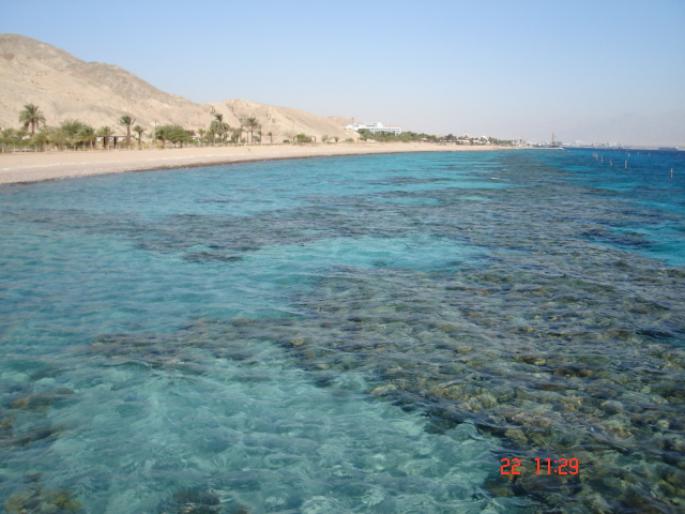 517 Israel - Eilat - The Observatory Marine Park - 2008 ISRAEL NOIEMBRIE