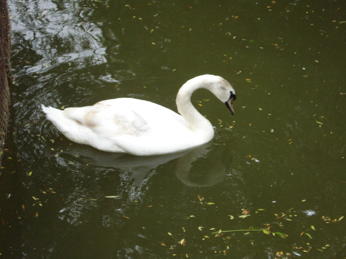 Picture 122