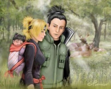 shikatema - concurs8