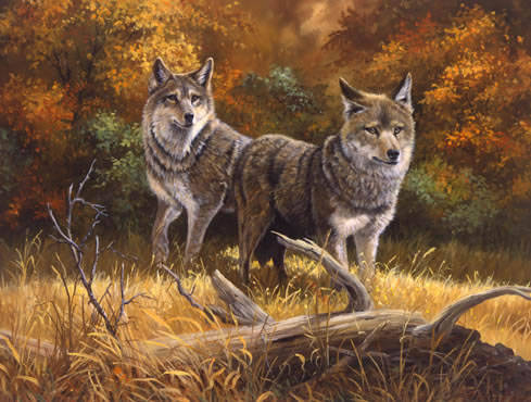 Two Wolves_jpg - pozee
