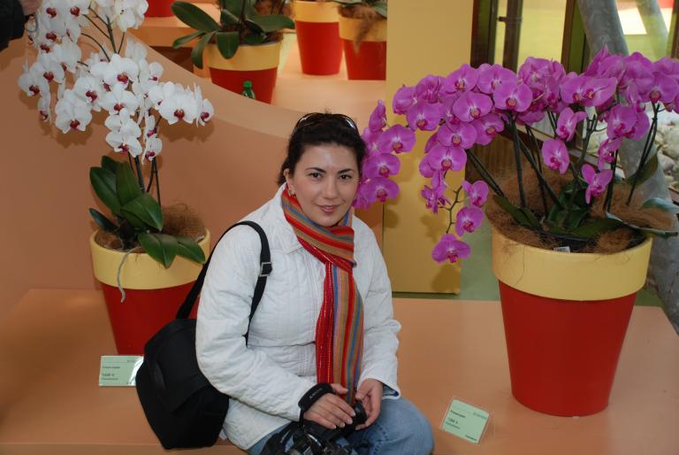 Afbeelding 641 - Keukenhof 2008