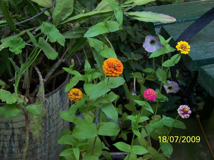 100_8041