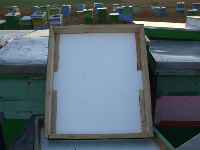 DSCF0576 (Large) - stupina  incepand cu 2008